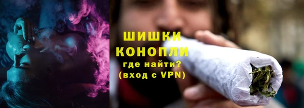 стафф Зерноград
