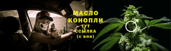 молекула духа Заводоуковск