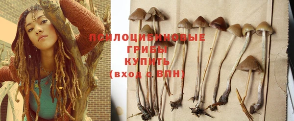 меф Зеленодольск