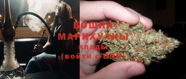 стафф Зерноград