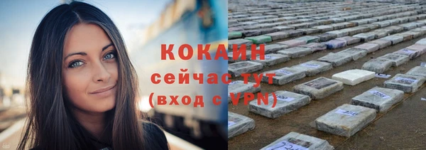 молекула духа Заводоуковск